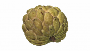 Mô hình trái mãn cầu ta (Custard Apple) - OBJ / STL